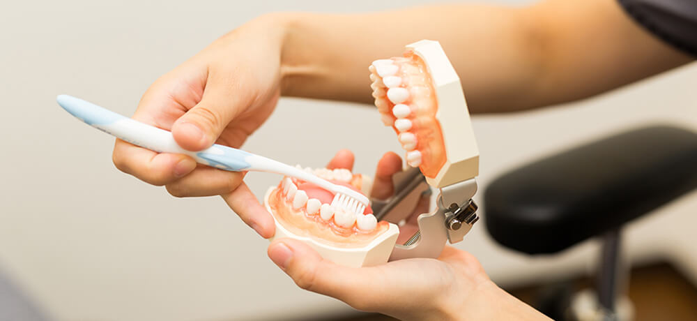 歯のメインテナンス　まずは定期検診でむし歯や歯周病のチェック